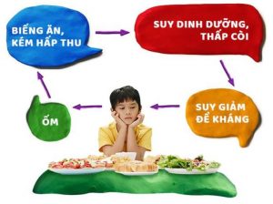 Nguyên nhân suy dinh dưỡng ở trẻ và cách điều trị